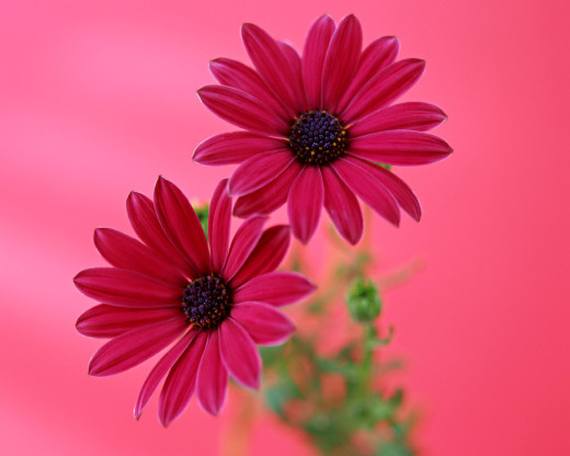 424015 (a): :1280x1024